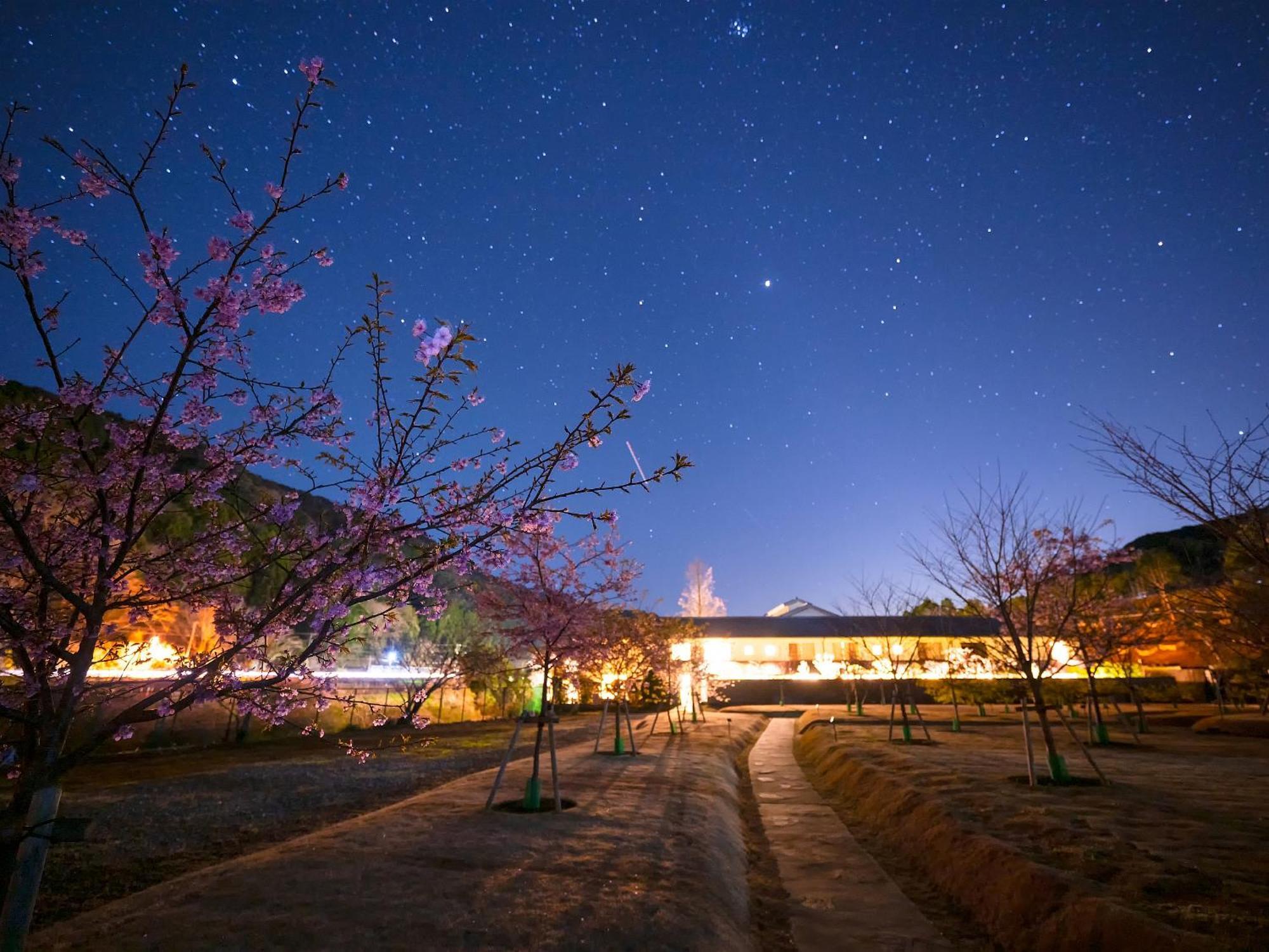 Shimoda Central Hotel Exterior foto